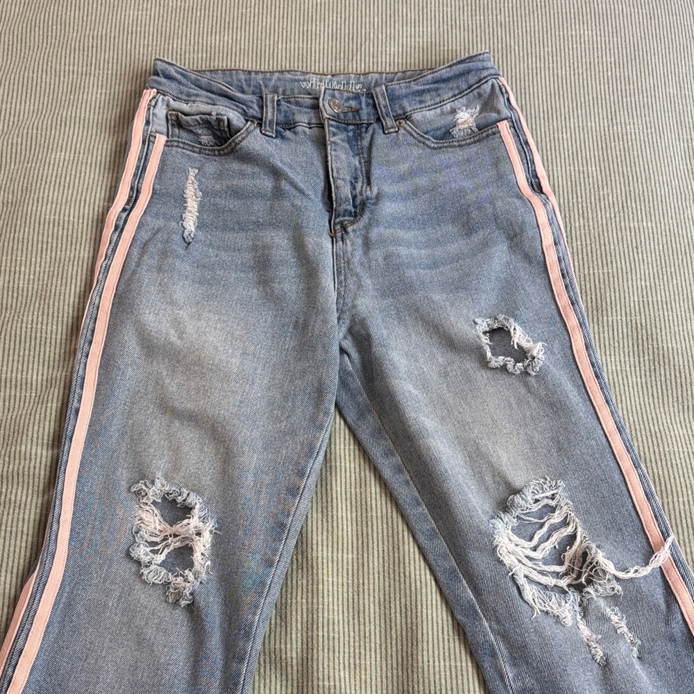 Wild Fable Blue Distressed Jeans with Pink Stripes